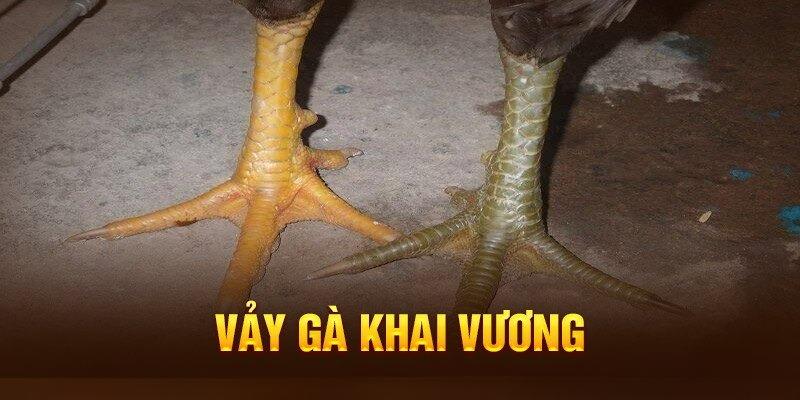 Vảy Gà Khai Vương Là Gì? Đặc Điểm Nhận Diện Dễ Nhất Cho Sư Kê 1 Vảy gà khai vương là gì?